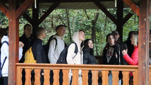 IMG 3967