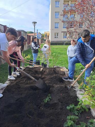 3463249a-0ec2-4126-b574-d542ef4239d4