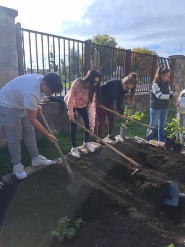 36478bf1-e12f-4e0a-98d4-0efeb28bf098