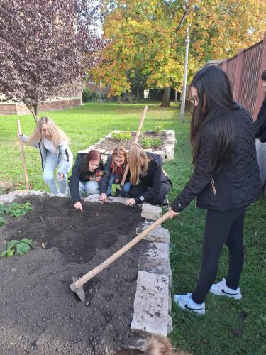 6f49bcb4-af28-4802-aa24-1eff65d25c0e