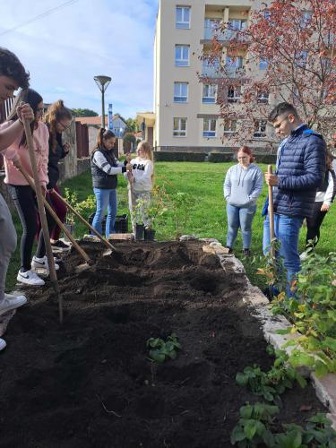 71a19203-de5e-4e40-85bb-0f2110b692a2