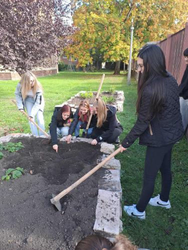 81a0aa4b-0859-41c8-8d7e-028f6382375b