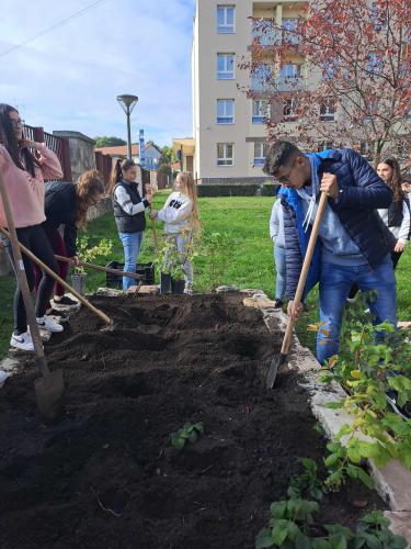 85bb03b9-e3c6-4ca8-aa2b-e684778d7df0