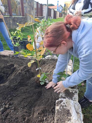 95e54b16-a346-413c-9a78-2a5ced9ec371-1