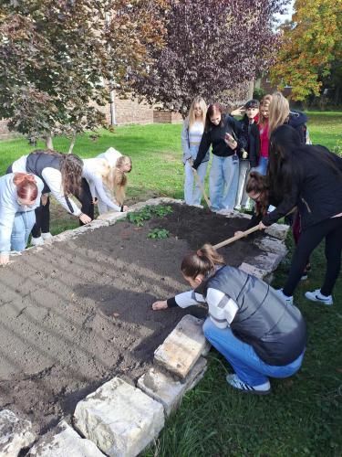 dfec6314-f48a-4451-8429-770609b4cef0