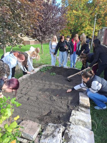 eb102e9d-d8cd-48f0-988e-45a122cf95cb