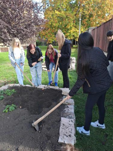 f74ded6d-e5da-4f88-bf42-ff0a2c2d8d19