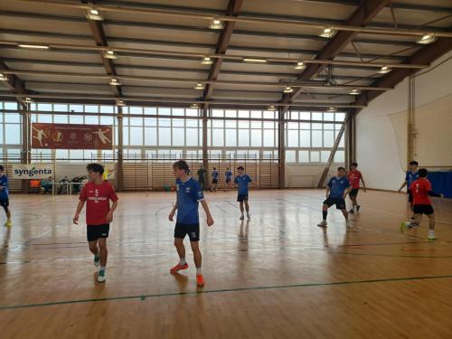 ea9d14ed-0f56-4643-8637-6b24ae19b9bc